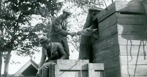 Original Digital object not accessible